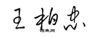 駱恆光王柏忠草書個性簽名怎么寫