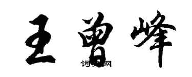胡問遂王曾峰行書個性簽名怎么寫
