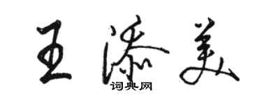 駱恆光王添美行書個性簽名怎么寫