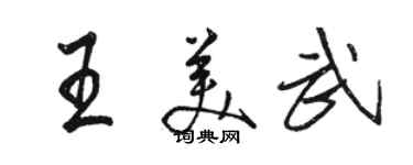 駱恆光王美武行書個性簽名怎么寫