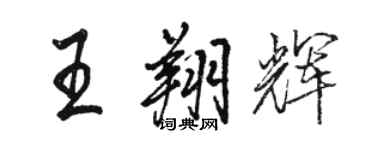 駱恆光王翔輝行書個性簽名怎么寫