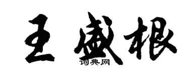 胡問遂王盛根行書個性簽名怎么寫