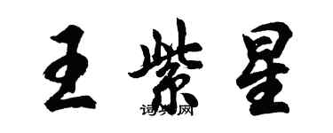 胡問遂王紫星行書個性簽名怎么寫