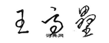 駱恆光王高壘草書個性簽名怎么寫