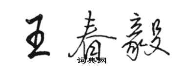 駱恆光王春毅行書個性簽名怎么寫