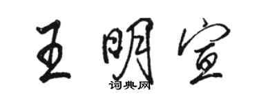 駱恆光王明宣行書個性簽名怎么寫