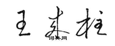 駱恆光王來柱草書個性簽名怎么寫