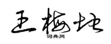 曾慶福王梅地草書個性簽名怎么寫