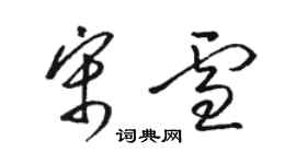 駱恆光宋雪草書個性簽名怎么寫