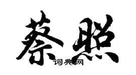 胡問遂蔡照行書個性簽名怎么寫