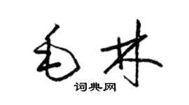 梁錦英毛林草書個性簽名怎么寫