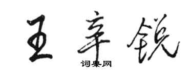 駱恆光王辛銳行書個性簽名怎么寫