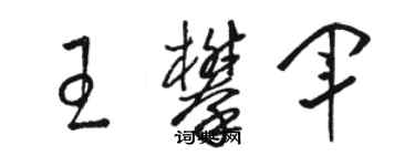 駱恆光王攀軍草書個性簽名怎么寫