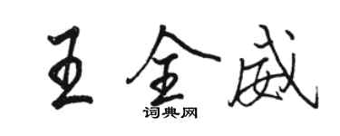 駱恆光王全威行書個性簽名怎么寫
