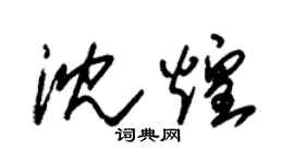 朱錫榮沈煌草書個性簽名怎么寫