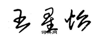 朱錫榮王星怡草書個性簽名怎么寫