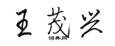 駱恆光王茂興行書個性簽名怎么寫