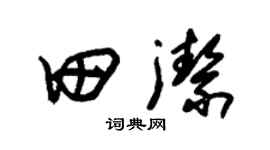 朱錫榮田潔草書個性簽名怎么寫