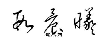 梁錦英段晨曦草書個性簽名怎么寫