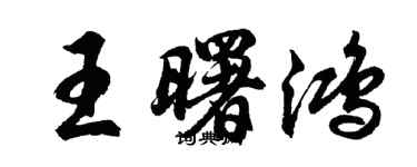 胡問遂王曙鴻行書個性簽名怎么寫