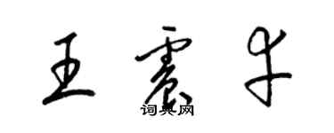 梁錦英王震幸草書個性簽名怎么寫