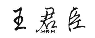 駱恆光王君臣行書個性簽名怎么寫