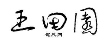 曾慶福王田園草書個性簽名怎么寫