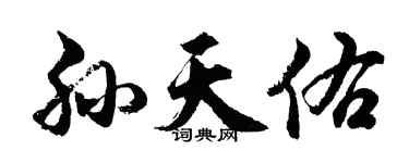 胡問遂孫天佑行書個性簽名怎么寫