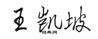 駱恆光王凱坡行書個性簽名怎么寫