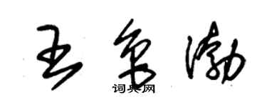 朱錫榮王魯渤草書個性簽名怎么寫