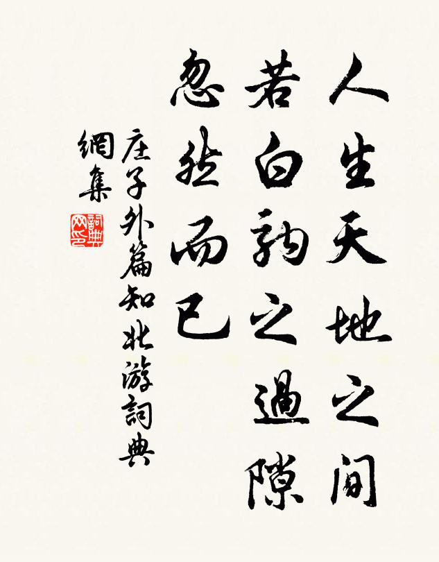 莊子人生天地之間,若白駒之過隙,忽然而已。書法作品欣賞