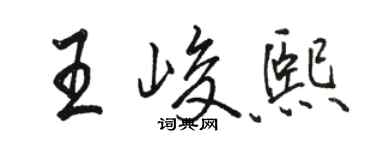 駱恆光王峻熙行書個性簽名怎么寫