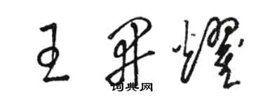 駱恆光王開耀草書個性簽名怎么寫