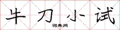 袁強牛刀小試楷書怎么寫