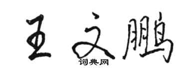 駱恆光王文鵬行書個性簽名怎么寫