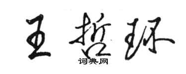 駱恆光王哲環行書個性簽名怎么寫