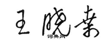 駱恆光王曉桑草書個性簽名怎么寫