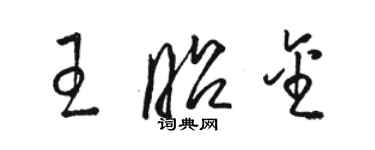 駱恆光王昭金草書個性簽名怎么寫