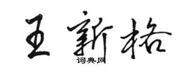 駱恆光王新格行書個性簽名怎么寫