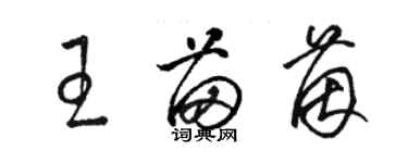 駱恆光王苗茵草書個性簽名怎么寫