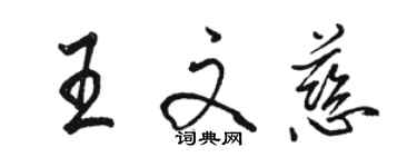 駱恆光王文慈行書個性簽名怎么寫