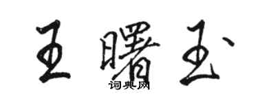 駱恆光王曙玉行書個性簽名怎么寫