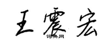 王正良王震宏行書個性簽名怎么寫