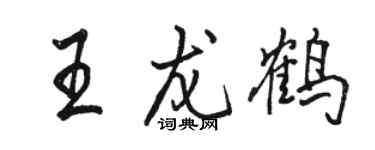 駱恆光王龍鶴行書個性簽名怎么寫