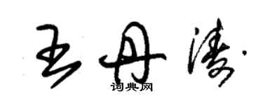 朱錫榮王丹濤草書個性簽名怎么寫