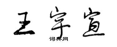 曾慶福王宇宣行書個性簽名怎么寫