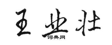 駱恆光王業壯行書個性簽名怎么寫