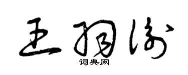 曾慶福王羽衡草書個性簽名怎么寫