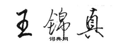 駱恆光王錦真行書個性簽名怎么寫