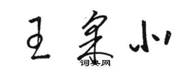 駱恆光王采北草書個性簽名怎么寫